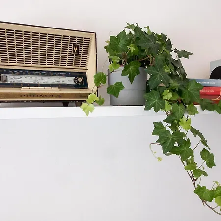 Luminoso, Spazioso Con Aria Condiz E Bici Apartamento